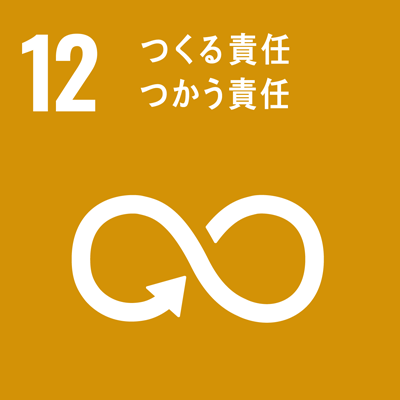 SDGs9