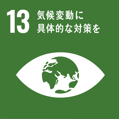 SDGs9