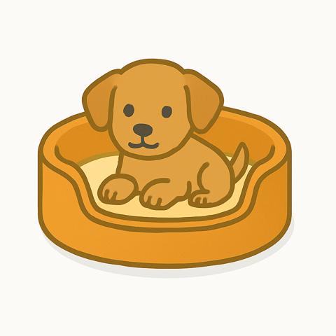 ペット関連